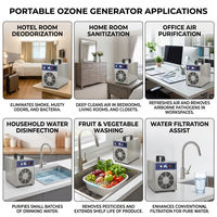 Générateur d'ozone Flygoo pour élevages porcins avec pompe, garantie 1 an, pour la désodorisation de l'air intérieur et la prévention de la pourriture des sabots