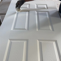 Porte intérieure blanche 30x80 en HDF, porte intérieure creuse personnalisée bon marché, porte pré-encrée, porte en bois à double battant