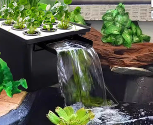 Kits carrés <span class=keywords><strong>de</strong></span> déversoir <span class=keywords><strong>de</strong></span> cascade en plastique avec média filtrant écologique et <span class=keywords><strong>lampe</strong></span> <span class=keywords><strong>UV</strong></span> <span class=keywords><strong>pour</strong></span> étang <span class=keywords><strong>de</strong></span> jardin d'eau Koi - Product Image 4