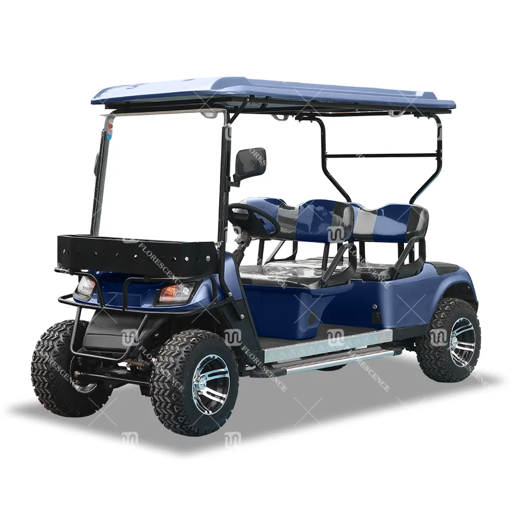 4 posti elettrico batteria staccata mini a lungo raggio nuovo 2x2 golf cart in vendita