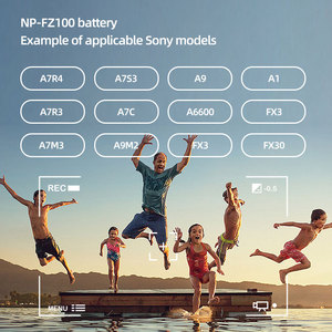 RingTeam <span class=keywords><strong>NP</strong></span> <span class=keywords><strong>FZ100</strong></span> Batterie 3 Slot <span class=keywords><strong>Chargeur</strong></span> pour Appareil Photo <span class=keywords><strong>Sony</strong></span> Alpha A7R3 A6600 A6700 A7M3 ARR4 A7R4 A7R5 A7III A7S3A9 BC-QZ1 ILCE-9 - Product Image 6