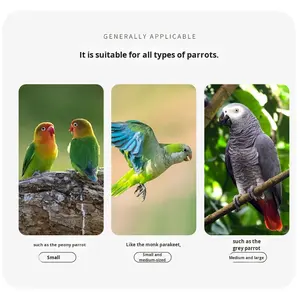 Hoogwaardig Roestvrij Staal Massief Hout Vogelkooi Papegaai Vogelhuis Diy Decor Interieur Monnik Goud Zon Wind Vogel Stijlen - Product Image 4