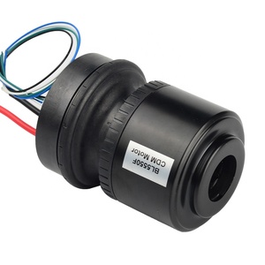 Động cơ không chổi than công suất cao H55 Dc 25.2v 300w cho máy hút bụi - Product Image 5