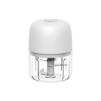 Hachoir et batteur à ail portatif mini en acier inoxydable avec recharge USB