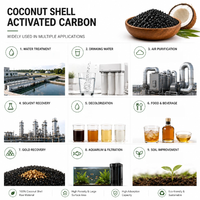 Charbon de coque de noix de coco de qualité alimentaire, lavé à l'acide, charbon actif haute pureté pour l'eau potable et la décoloration du sucre