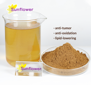 Venta directa de fábrica de alta calidad True Morels Black Morel Mushroom Morchella Esculenta Extracto - Product Image 2