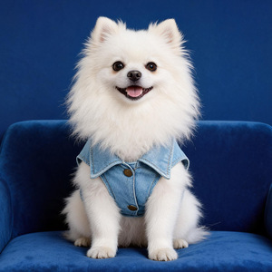 PETCIRCLE Pet Circle Spring/Summer <b>Cute</b> Dog and Cat Pet Trendy Collared Design <b>Bear</b>-Shaped Valentine's Day Denim Jacket - Product Image 3