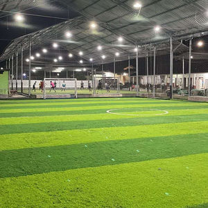 Campo de césped artificial Alfombra de césped de fútbol sintético 40MM 50MM 60MM Altura para campo de fútbol Deporte - Product Image 1