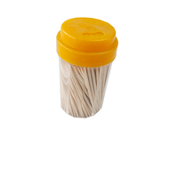 Bouteille de cure-dents en bois de bouleau biodégradable, jetable, écologique, au design personnalisé, aromatisée à la menthe, pour le nettoyage des dents