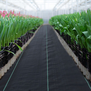 Tecido para Impedir o Crescimento de Grama, Barreira Contra Ervas Daninhas e Tecido de Controle de Ervas Daninhas, Cobertura de Solo para Jardim, Tapete Anti-UV - Product Image 5