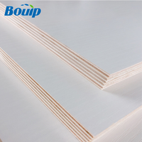 Panneau de contreplaqué stratifié de mélamine de haute qualité 9mm 15mm 18mm/bois de contreplaqué de mélamine blanche pour garde-robe
