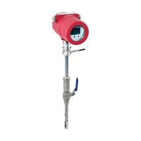 Medidor de Flujo Másico de Gas Térmico Tipo Insertable de Venta Directa de Fábrica con Salida RS485 Modbus y 4-20mA