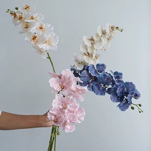 ดอกกล้วยไม้ฟาแลนนอปซิสประดิษฐ์ Haiyi 9 หัว ดอกไม้ผ้าไหม สีขาว ฟ้า ชมพู สีแชมเปญ สำหรับตกแต่งงานแต่งงานและบ้าน - Product Image 1