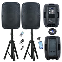 Système de sonorisation professionnel pour usine, combo audio 1000W, 2x15 pouces, sans fil, pour karaoké, enceinte PA, système de sonorisation portable pour fêtes et DJ, Bocina
