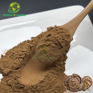 Suplemen Jamur Organik Kelas Makanan Ekstrak Bubuk Turkey Tail Ekstrak Jamur Turkey Tail - Product Image 1