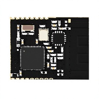 Module BLE 20 dBm 2,4 GHz à faible consommation d'énergie, module personnalisable GFSK SOC, modules sans fil pour balises connectées