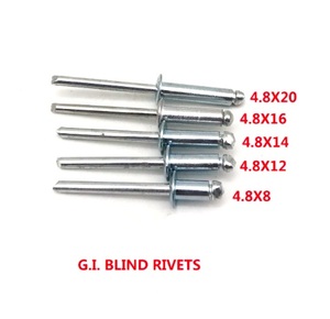 G, GI de acero SS 304 Dia 4.8X14mm 4.8X16mm <span class=keywords><strong>Multigrip</strong></span> <span class=keywords><strong>remache</strong></span> ciego - Product Image 3