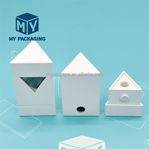Factory Custom Luxury CR Oil Pen Boxes Child Resistant Paper Box Childproof Triangle Paper Tube with PET Window
