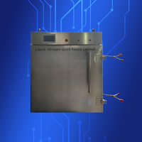 Petite machine de congélation rapide à l'azote liquide Modèle personnalisable Machine de congélation rapide Congélateur de crème glacée aux fruits et légumes