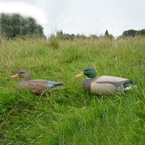 Galleggianti realistici anatre fischietto esca EVA multicolore corpo robusto con movimento realistico dinamico caccia in avanti nuotata - Product Image 4