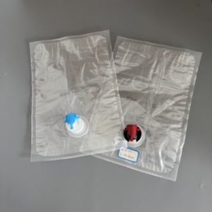 Bolsa Bag-in-Box con Válvula Dispensadora de Jugo 1L 2L 3L 5L para Envasado de Té, Vino, Café Frío - Product Image 4