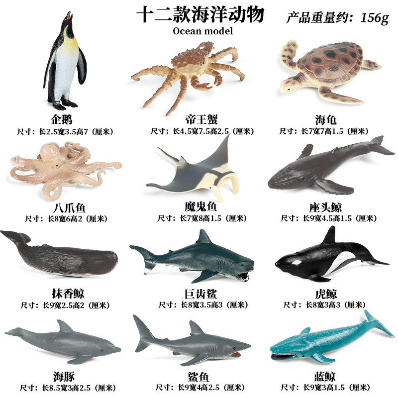 JS Mini océan 12 ensembles