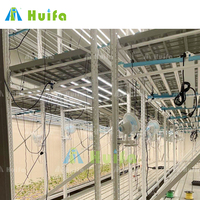 Système d'agriculture verticale mobile SINO AGRI, grande ferme intérieure, culture hydroponique de fraises, éclairage LED, taille personnalisable