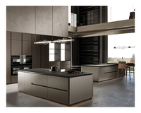 Ensemble d'armoires de cuisine en bois laqué gris pierre brillant entièrement personnalisé et professionnel