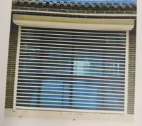 Porte à enroulement à lames transparentes sur mesure en polycarbonate pour centre commercial