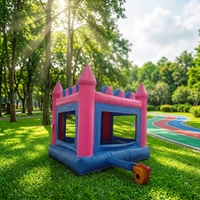 Château gonflable commercial pour enfants, modèle princesse, idéal pour la location événementielle - Vente en gros