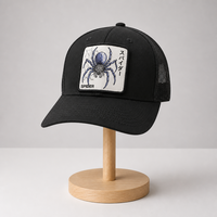 Casquette Snapback Premium Personnalisée à 5 ou 6 Panneaux avec Logo Brodé, Motif Animal Araignée Scorpion, Grise, Casquette de Baseball en Maille pour Hommes