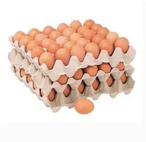 Máquina de fabricación de bandejas de huevos pequeñas, venta de fábrica, precio en la India/Máquina Manual de bandejas de huevos