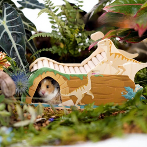 La toute nouvelle maison pour hamster multifonctionnelle en bois massif, respectueuse de l'environnement et de forme unique - Product Image 6