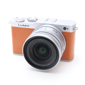 Panasonic Lumix DC-S9N (18-40mm F4.5-6.3) (Orange, DC-S9N-D) - Product Image 6