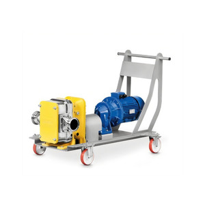 Pompe à diaphragme TECHNI-FLOW TFG 1500, corps en polypropylène, diaphragme en téflon, pompe hydraulique de transfert d'huile - Product Image 4