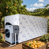 Egypte Citrusdroogmachine Warmtepomp Fruitdroger voor sinaasappelschijfjes