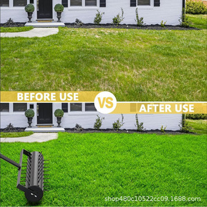 Hot Crossover Cán Vườn Vườn Có Thể Tháo Rời Đất Móng Tay Đấm Máy Của Nhãn Hiệu Cỏ Aerator - Product Image 3