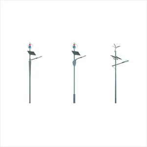 China High Quality Solar Electric Light Pole Supplier Wind Solar Hybrid Street Light