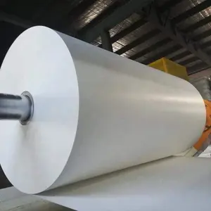 Fabricante de China Papel Kraft recubierto de PE Papel de materia prima impermeable en rollo