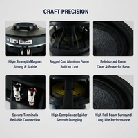Haut-parleur PA professionnel de 12 pouces, 500 W RMS, bobine vocale de 100 mm, woofer robuste de 220 mm, métal, respectueux de l'environnement, son pour scène, club, concert