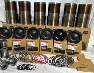 Repuestos de Motor QSL8.9 NTA855 QSB6.7 QSB4.5 QSX15 QSM11, Kit de Reparación General, Kit de Recubrimiento - Product Image 4