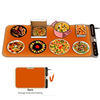 Vente en gros de plaque chauffante électrique pliable portable pour aliments, plateau chauffant pour aliments, tapis chauffant en silicone, moule à pâtisserie