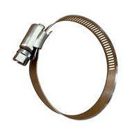 Collier de serrage américain à vis sans fin 1/2 po en bande perforée SS304 avec tête hexagonale W4 pour raccords de pompe de filtration de piscine