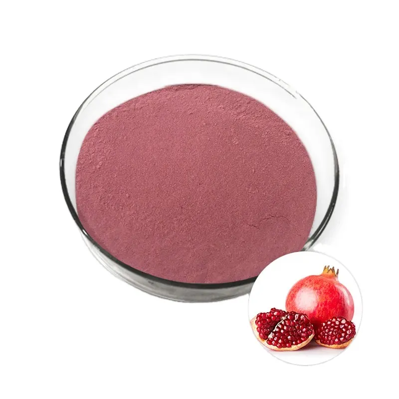 Vente en gros Jus de fruit biologique Poudre de grenade Poudre d'extraction de fruit de grenade