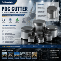 Высокопроизводительные поликристаллические алмазные резцы Drillsoltek OEM PDC 2026 для буровых долот для геологоразведки
