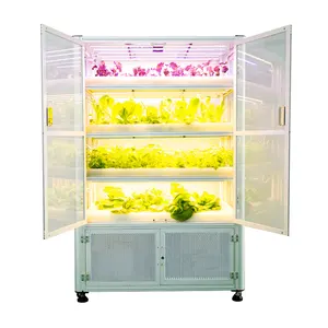 Automatic Intelligent Indoor Mini Hydroponic Professional Commercial Grow box Cabinet Grow Tent Complete Kit