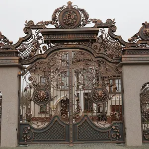 美丽的户外印度房屋主铝门格栅设计装饰铁门