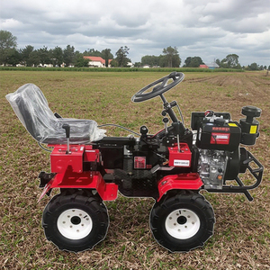 Mini Coltivatore <span class=keywords><strong>Diesel</strong></span> a 4 Ruote per Giardinaggio su Piccole Superfici - Product Image 1