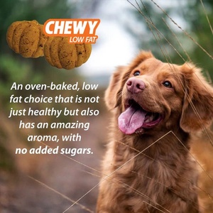 Complément pour chiens pour les hanches et les articulations, marque privée OEM/ODM - Friandises à mâcher souples sans céréales à absorption rapide pour les hanches et les articulations - Product Image 6