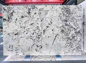 Tianshan <span class=keywords><strong>Twilight</strong></span> Snow <span class=keywords><strong>Granite</strong></span> Polierter Naturstein Große Platte Rückwand für den Innenbereich Moderne Licht übertragung Große Platte - Product Image 6